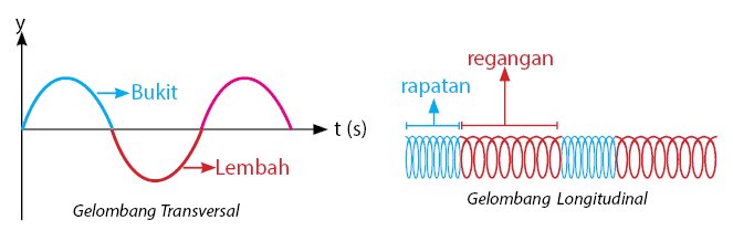 regangan rapatan Bukit t(s) 10000 DONMIO 0000000 Lembah Gelombang Transversal Gelombang Longitudinal 