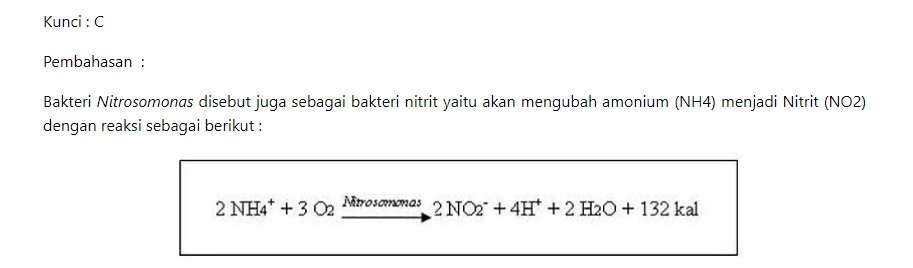 Kunci: Pembahasan : Bakteri Nitrosomonas disebut juga sebagai bakteri nitrit yaitu akan mengubah amonium (NH4) menjadi Nitrit (NO2) dengan reaksi sebagai berikut : 2 NH4+ + 3 2 Nitrosorramas 2 NO2 + 4H+ + 2 H2O + 132 kal 