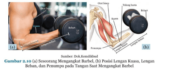 Otot bimp Tulang hasta Otot bisep Belgin Kuasa Ka Beton Lenkan Lengan butun Lengan bchen Lengan kuasa Penumpa (b) Sumber: Dok.Kemdikbud Gambar 2.10 (a) Seseorang Mengangkat Barbel, (b) Posisi Lengan Kuasa, Lengan Beban, dan Penumpu pada Tangan Saat Mengangkat Barbel 