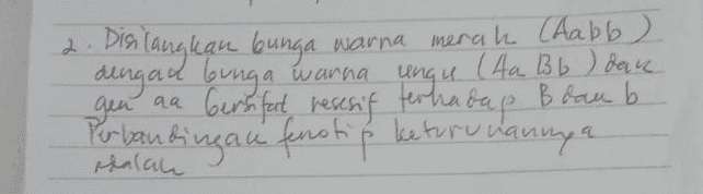 2. Disilangkan bunga warna merah (Aabb ) dengad bunga warna ungu (Aa Bb ) dare gen aa bersifat resesif terhadap Blau b. Perbandingan fenotip keturunannya Halal 
