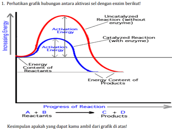 1. Perhatikan grafik hubungan antara aktivasi sel dengan enzim berikut! Uncatalyzed Reaction without enzyine) Activation Endrgy Increasing Energy Catalyzed Reaction (with enzyme) Activation Energy Energy Content of Reactants Energy Content of Products Progress of Reaction A + B C + D Reactants Products Kesimpulan apakah yang dapat kamu ambil dari grafik di atas! 