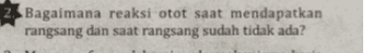 2. Bagaimana reaksi otot saat mendapatkan rangsang dan saat rangsang sudah tidak ada? 
