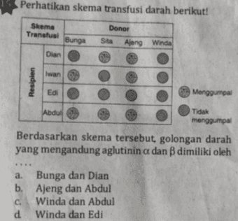 Perhatikan skema transfusi darah berikut! Donor Skema Transfusi Bunga Sita Ajeng Winda Dian Iwan Resipien Edi Menggumpal Tidak Abdul menggumpal Berdasarkan skema tersebut golongan darah yang mengandung aglutinin a dan dimiliki oleh a. Bunga dan Dian b. Ajeng dan Abdul c. Winda dan Abdul d Winda dan Edi 