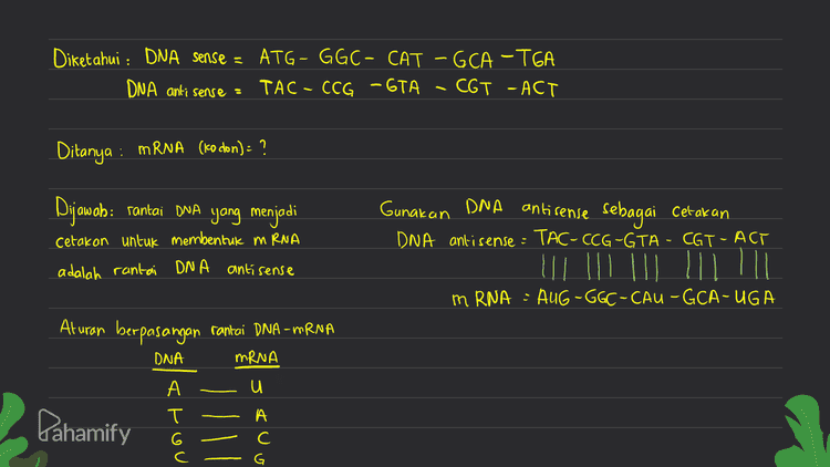 Diketahui : DNA sense = ATG - GGC- CAT – GCA -TGA Ditanya : DNA anti sense = ? Dijawab : DNA sense = ATG -GG C- CAT- GCA - TGA DNA anti sense : TAC-CCG-GTA -C6T-ACT Aturan berpasangan rantai DNA -DNA DNA DNA A T G -C begitu pula sebaliknya Pahamify 
asam amino Kodon CAU histidin Diketahui : DNA sense = ATG - GGC- CAT – GCA -TGA TAC- CCG-GTA - CGT -ACT kodon / MRNA AUG - 66C CAU -GCA UGA DNA antisense = AUG metionin GA alanin UGA stop glysin Ditanya : ) urutan asam amino GGC - Kodon = Aug - GGC - CAU – GCA - UGA glysın – histidin - alanin – stop metionin - Dijawab: menentukan urutan asam amino dari hasil translasi. Translasi adalah penerjemahan mRNA (kodon) oleh tRNA di ribosom. Urutan asam-amino dapat dilihat dari tabel asam amino Pahamify 
Diketahui : DNA sense = ATG - GGC- CAT – GCA -TGA DNA anti sense : TAC - CCG -GTA - CGT -ACT Ditanya : MRNA (ko don) = ? Dijawab: rantai DNA yang menjadi Cetakon untuk membentuk mRNA adalah rantai DNA antisense Gunakan DNA antirense sebagai Cetakan DNA antisense - TAC-CCG-GTA - CGT-ACT mRNA : AUG-GGC-CAU -GCA-UGA Aturan berpasangan rantai DNA -mRNA DNA MRNA A т Pahamify Trou no > s А C G c 