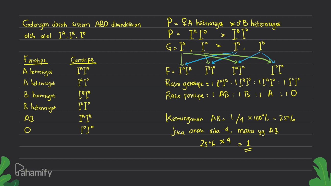 Golongan darah sistem ABO dikendalikan oleh alel IA, IB, I' P - PA heterosaw xơ B heter Pago P P = TARP I° I Dº G = 1 Tº I Se > Genotipe . Fenotipe A homozigot A heterozigot B homozigot F: JALB Jºle 191° [°DO Rasm genotipe = 1 (*1° : 1 [*Jº : 1141° : 1 1*I* 21 ° :1 AB : 1 B:1 A;10 : Rasio Fenotipe = IA IA 1° 1° ICT Jº I° IA I Tºrº B heterozigot AB Kemunganan AB=1/4x100% =25% Jika anak ada 4, maka yg AB 25% x4 - 1 Pahamify 