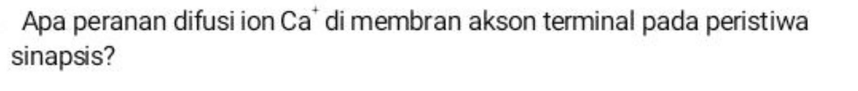 Apa peranan difusi ion Ca di membran akson terminal pada peristiwa sinapsis? 