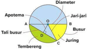 Diameter Apotema A Jari-jari B Busur Tali busur D Juring с Tembereng 