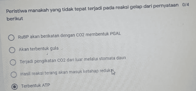 Peristiwa manakah yang tidak tepat terjadi pada reaksi gelap dari pernyataan 0/4 berikut O RuBP akan berikatan dengan CO2 membentuk PGAL O Akan terbentuk gula O Terjadi pengikatan Co2 dari luar melalui stomata daun O Hasil reaksi terang akan masuk ketahap redukas Terbentuk ATP 