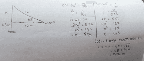 cos 60° = 12 sincos X त 001 / 를 83 2x: 85 ux² = 192 X:48 lism 12 2 2 m Tom=24 3 m²=576 m² = 192 = m = 813 mara 12 min taron * = UB Jadi, tinggi Pohon adalon 115 + x = 1,5 +475 1.5 + 6,92 8.44 m 