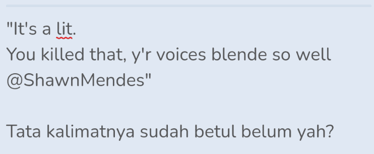 "It's a lit. You killed that, y'r voices blende so well @Shawn Mendes" Tata kalimatnya sudah betul belum yah? 