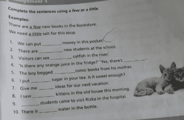 rice. Complete the sentence with some or any. 1. We can't cook the recipe without 2. Buy bread and cheese for the picnic, if you want to help. 3. I like biscuits and sweets. 4. I don't think there is milk left in the jug. 5. Go and ask him for paper. I do not have in my desk. 6. Can we have milk? 7. Put spices into the soup. 8. There aren't buses after ten o'clock. 9. I haven't got friends at all. 10. I can answer only questions on the subject. 
ment 4 Complete the sentences using a few or a little. Examples: There are a few new books in the bookstore. We need a little salt for this soup 1. We can put 2. There are 3. Visitors can see 5. The boy begged money in this pocket new students at the school. catfish in the river. 4. 'Is there any orange juice in the fridge?" "Yes, there's comic books from his mother. sugar in your tea. Is it sweet enough? ideas for our next vacation. kittens in the old house this morning, students came to visit Rizka in the hospital. 10. There is water in the bottle. 6. put 7. Give me 8. I saw 9. 