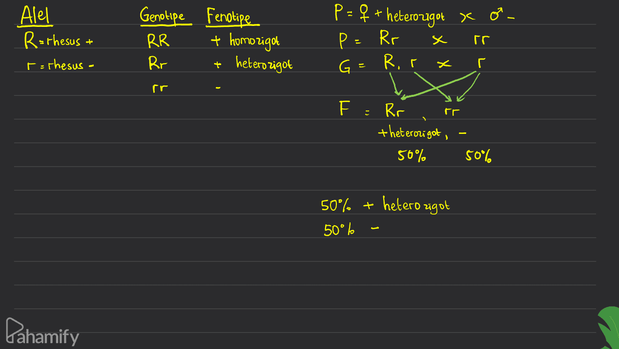 Alel R=thesus t Genotipe Fenotipe RR + homozigot Rr + heterozigot P = f + heterou got x of - Р Rr x rr Fothesus G=R, r F = Rr theterozigot, 50% 50% 50% + heterozigot 50°b Pahamify 