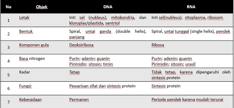 No Obiek DNA RNA Letak 1 1 2 Bentuk Inti sel (nukleus), mitokondria, dan Inti sel(nukleus), sitoplasma, ribosom kloroplas/plastida, sentriol Spiral, untai ganda (double helix), Spiral, untai tunggal (single helix), pendek panjang Deoksiribosa Ribosa 2 Komponen gula 3 Basa nitrogen 4 Purin: adenin; guanin Pirimidin: sitosin; timin Kadar Tetap Purin: adenin; guanin Pirimidin: sitosin; urasil Tidak tetap, karena dipengaruhi oleh sintesis protein Sintesis protein Fungsi Pewarisan sifat dan sintesis protein 6 7 Keberadaan Permanen Periode pendek karena mudah terurai 7 
