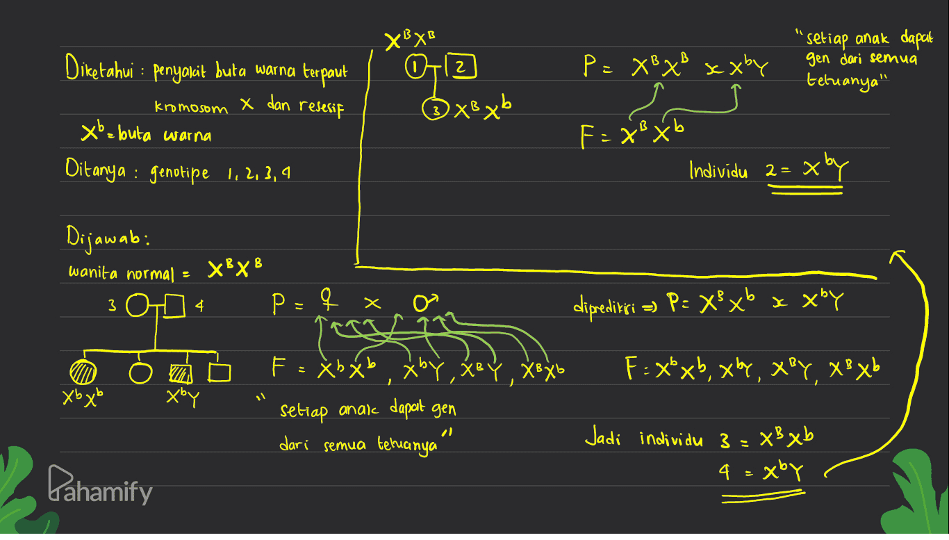 XBXB P=XB x x xby 'setiap anak dapat gen dari semua tetuanya" Diketahui : : penyalcit buta warna terpaut kromosom X dan resesif Xb=buta warna Ditanya : genotipe 1, 2, 3, 4 0112 Оҳвхь F = xoxo F Individu a= xby Dijawab: wanita normal XBXB 2 3 4 P= Х x diprediksi =) P= XP x6 x xby F: xb xb BY , XBXb F = xbxb, xby, xey, xBxb xbxb setiap anak dapat gen dari semua temanya Jadi individu 3 = XB xb 4=xby Pahamify 
