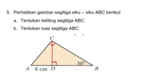 5. Perhatikan gambar segitiga siku - siku ABC berikut a. Tentukan keliling segitiga ABC b. Tentukan luas segitiga ABC 300 A 8 cm D B 