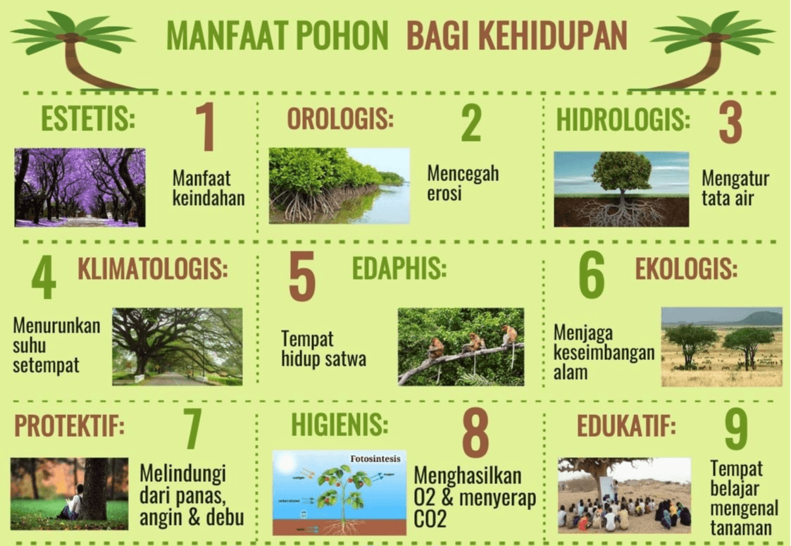 MANFAAT POHON BAGI KEHIDUPAN ESTETIS: 1 OROLOGIS: 2. HIDROLOGIS: 3 Manfaat keindahan Mencegah erosi Mengatur tata air 4 4. KLIMATOLOGIS: 5 EDAPHIS: 6 EKOLOGIS: Menurunkan suhu setempat Tempat hidup satwa Menjaga keseimbangan alam PROTEKTIF: 7 HIGIENIS: 8 EDUKATIF: 9 Fotosintesis Melindungi dari panas, Menghasilkan 02 & menyerap CO2 Tempat belajar mengenal tanaman angin & debu 