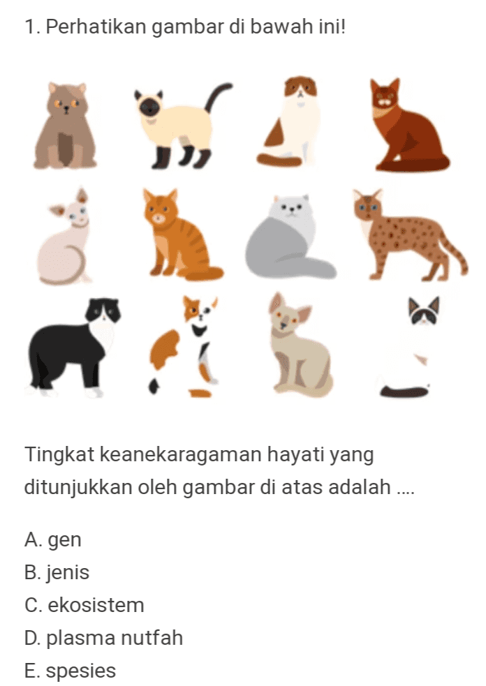 1. Perhatikan gambar di bawah ini! Tingkat keanekaragaman hayati yang ditunjukkan oleh gambar di atas adalah .... A. gen B. jenis C. ekosistem D. plasma nutfah E. spesies 