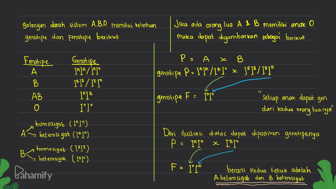 golongan darah sistem A.B.O memiliki ketentuan genotipe dan fenotipe berikut Jika ada orang tua A & B memiliki anak o maka dapat digambarkan sebagai berikut Genotipe X Р А B genotipe P- 5*]"/I*I* JLP/*[° A ' J® / Fenotipe A B AB O JAIA / IAI" IBĪB / 5B TO 141B I'I° ( genotipe F: I°° setiap anak dapat gen dari kedua orang tua nya" 11 homozigot ( IA J^) A heterozigot (I*1°) , homozigot ( [$[) : heterozigot ( 189°) Dari ilustrasi di atas dapat dipastikan genotipenya P = 1410 X IBI° B<! Pahamify F = 1° ° berarti kedua tetua adalah A heterozigot dan B heterozigot 