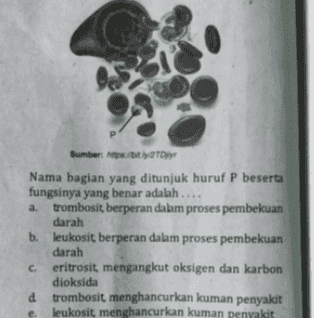 P Sumber DDY Nama bagian yang ditunjuk huruf P beserta fungsinya yang benar adalah .... a. trombosit berperan dalam proses pembekuan darah b. leukosit berperan dalam proses pembekuan darah с. eritrosit, mengangkut oksigen dan karbon dioksida d trombosit menghancurkan kuman penyakit leukosit menghancurkan kuman penyakit e. 