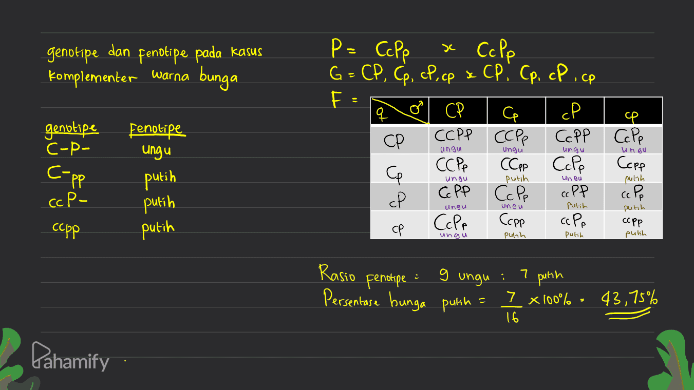 P= Capp x genotipe dan fenotipe pada kasus Komplementer warna bunga genotipe C-P- ungu * CcPp G = CP, Cp, cP, cp x CP. Cp, cP , cp F: CP Се cP cp CCPP CCPp CcPP Cape CC Pp CCpp Capp Ccpp Со cc PP Cc PP CcPp cP cc Pp CcPp Capp CP ungu ungu ungu dites Fenotipe ungu putih putih putih C-pp ungu putih ungu pulch 8 or o cc P- Ungu Ungu Putih putih cc Pe capp ccpp ungu punch putih pukh Fenotipe 9 Rasio ungu Persentosa bunga pukh = 7 putih 7 16 x 100% · 43,7506 Pahamify 
