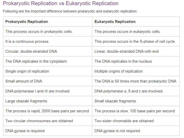 Prokaryotic Replication vs Eukaryotic Replication Following are the important difference between prokaryotic and eukaryotic replication: Prokaryotic Replication Eukaryotic Replication This process occurs in prokaryotic cells. This process occurs in eukaryotic cells. It is a continuous process. This process occurs in the S-phase of cell cycle. Circular, double-stranded DNA Linear, double-stranded DNA with end The DNA replicates in the cytoplasm The DNA replicates in the nucleus Single origin of replication Multiple origins of replication Small amount of DNA The DNA is 50 times more than prokaryotic DNA DNA polymerase I and III are involved DNA polymerase a, and € are involved. Large okazaki fragments Small okazaki fragments The process is rapid, 2000 base pairs per second The process is slow, 100 base pairs per second Two circular chromosomes are obtained Two sister chromatids are obtained DNA gyrase is required DNA gyrase is not required 