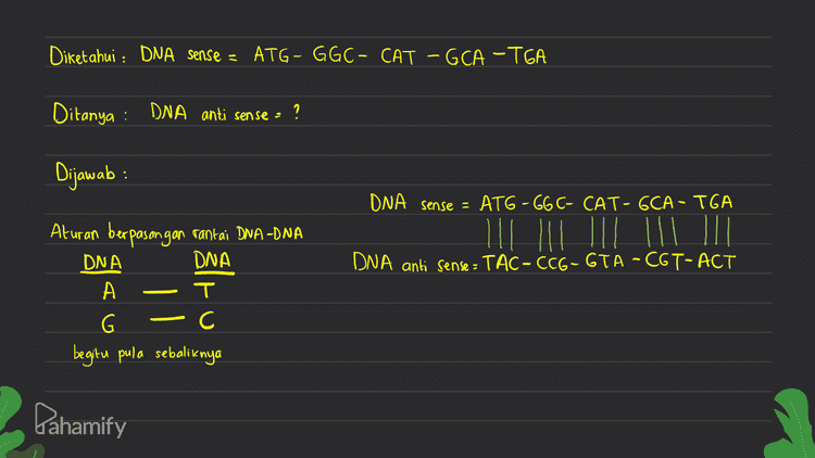 Diketahui : DNA sense = ATG - GGC- CAT - GCA - TGA Ditanya : DNA anti sense : ? Dijawab: DNA sense = ATG - GG C- CAT- GCA - TGA DNA anti Sense - TAC- CCG-GTA -C6T-ACT Aturan berpasongan rantai DNA-DNA DNA DNA А T G - C begitu pula sebaliknya Pahamify 
Diketahui : DNA sense = ATG - GGC- CAT – GCA -TGA DNA anti sense : TAC - CCG -GTA - CGT -ACT Ditanya : MRNA (ko don) = ? Dijawab: rantai DNA yang menjadi Cetakon untuk membentuk mRNA adalah rantai DNA antisense Gunakan DNA antirense sebagai Cetakan DNA antisense - TAC-CCG-GTA - CGT-ACT mRNA : AUG-GGC-CAU -GCA-UGA Aturan berpasangan rantai DNA -mRNA DNA MRNA A т Pahamify Trou no > s А C G c 
asam amino Kodon CAU histidin Diketahui : DNA sense = ATG - GGC- CAT – GCA -TGA TAC- CCG-GTA - CGT -ACT kodon / MRNA AUG - 66C CAU -GCA UGA DNA antisense = AUG metionin GA alanin UGA stop glysin Ditanya : ) urutan asam amino GGC - Kodon = Aug - GGC - CAU – GCA - UGA glysın – histidin - alanin – stop metionin - Dijawab: menentukan urutan asam amino dari hasil translasi. Translasi adalah penerjemahan mRNA (kodon) oleh tRNA di ribosom. Urutan asam-amino dapat dilihat dari tabel asam amino Pahamify 