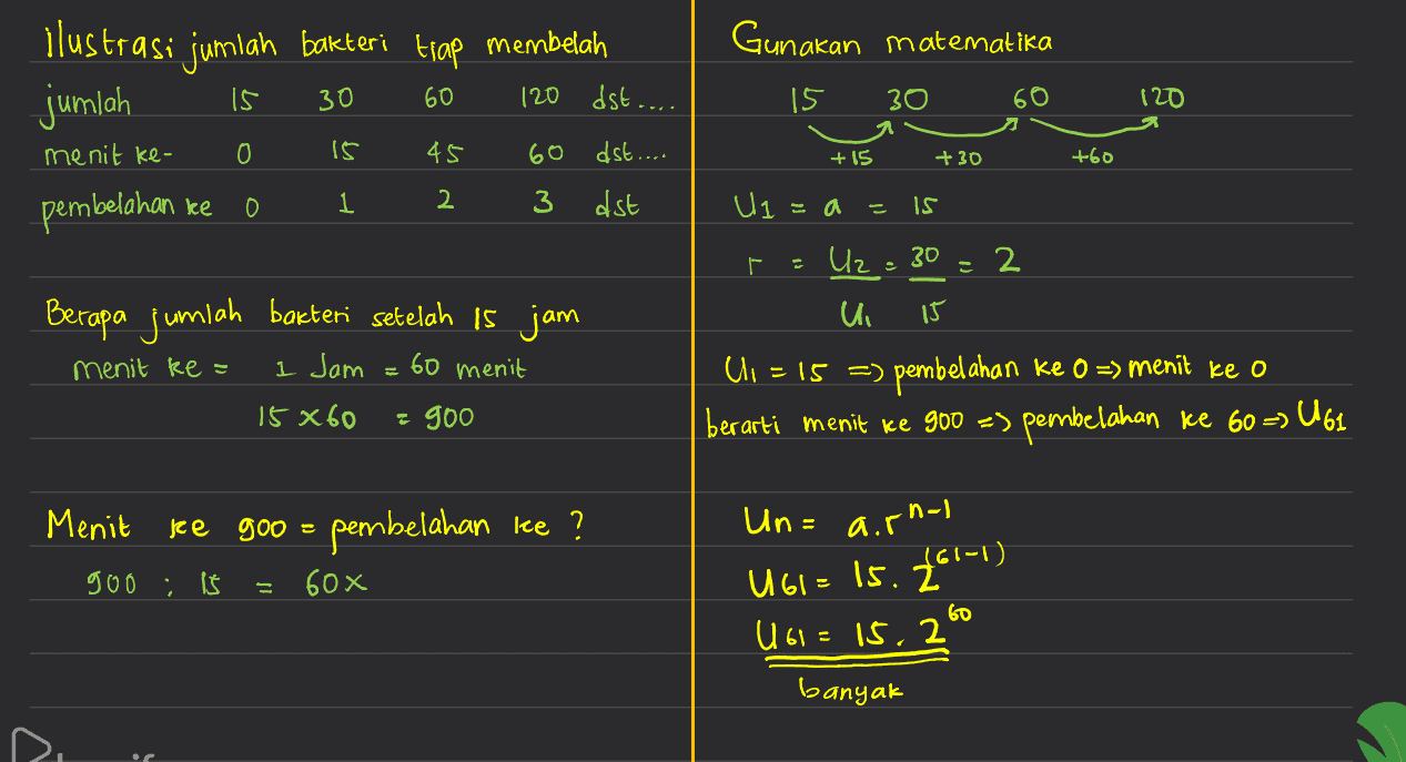 sel bakteri escherichia coli membelah setiap 15 meni - Tanya MIPI