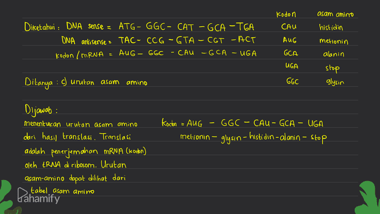 Diketahui : DNA sense = ATG - GGC- CAT – GCA -TGA Ditanya : DNA anti sense = ? Dijawab : DNA sense = ATG -GG C- CAT- GCA - TGA DNA anti sense : TAC-CCG-GTA -C6T-ACT Aturan berpasangan rantai DNA -DNA DNA DNA A T G -C begitu pula sebaliknya Pahamify 
asam amino Kodon CAU histidin Diketahui : DNA sense = ATG - GGC- CAT – GCA -TGA TAC- CCG-GTA - CGT -ACT kodon / MRNA AUG - 66C CAU -GCA UGA DNA antisense = AUG metionin GA alanin UGA stop glysin Ditanya : ) urutan asam amino GGC - Kodon = Aug - GGC - CAU – GCA - UGA glysın – histidin - alanin – stop metionin - Dijawab: menentukan urutan asam amino dari hasil translasi. Translasi adalah penerjemahan mRNA (kodon) oleh tRNA di ribosom. Urutan asam-amino dapat dilihat dari tabel asam amino Pahamify 
Diketahui : DNA sense = ATG - GGC- CAT – GCA -TGA DNA anti sense : TAC - CCG -GTA - CGT -ACT Ditanya : MRNA (ko don) = ? Dijawab: rantai DNA yang menjadi Cetakon untuk membentuk mRNA adalah rantai DNA antisense Gunakan DNA antirense sebagai Cetakan DNA antisense - TAC-CCG-GTA - CGT-ACT mRNA : AUG-GGC-CAU -GCA-UGA Aturan berpasangan rantai DNA -mRNA DNA MRNA A т Pahamify Trou no > s А C G c 