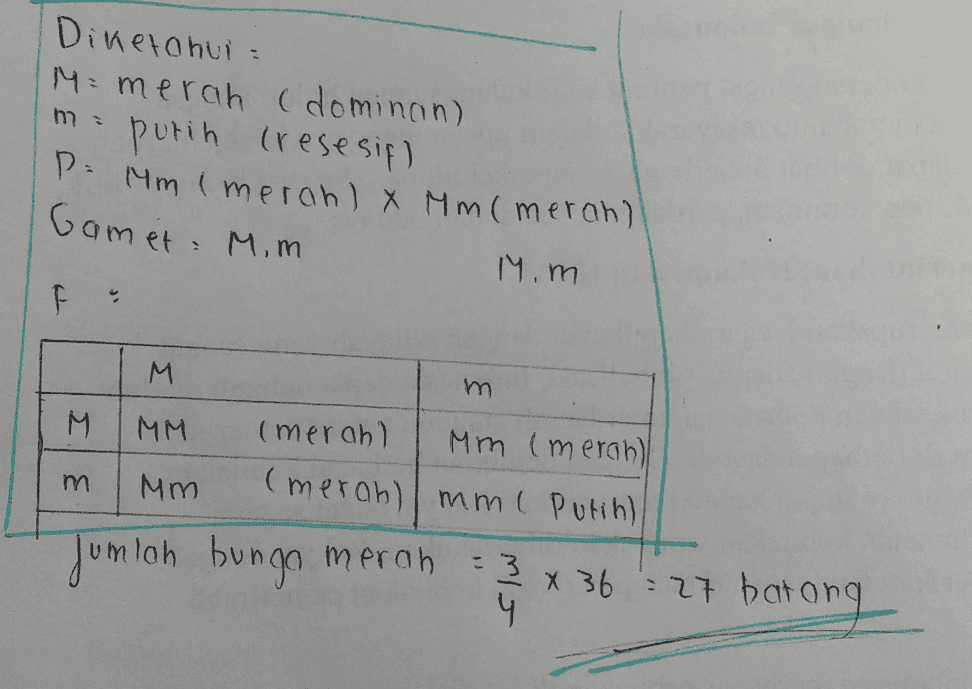 : רח Diketahui M= merah (dominan) putih (resesif) P=11m (merah) x Mm(merah) Comet Mom Mom F. M M m. M m MM (merah) Mm (merah) Mm (merah) mmi Putih) umlah bungo merah 3* 36 27 batong 4 