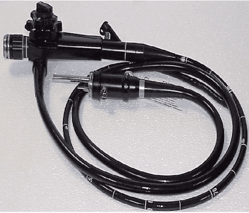 IN 
Esophagus Gastroscope Duodenum Stomach Stomach 