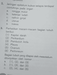 2. Jaringan epitelium kubus selapis terdapat contohnya pada organ rongga mulut b. a. b kelenjar ludah nefron ginjal d. C. uterus trakna 3. Perhatikan macam-macam bagian tubuh berikut (1) Kapiler darah (2) Perikardium (3) Pembuluh limfa (4) Pleura (5) Ovarum (6) Peritoneum Bagan tubuh yang dilapi oleh mesotelium ditunjukkan oleh nomor a (1). (2), dan (3) b (1). (3), dan (5) (2). (4), dan (5) C. 