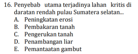 16. Penyebab utama terjadinya lahan kritis di daratan rendah pulau Sumatera selatan... A. Peningkatan erosi B. Pembakaran tanah C. Pengerukan tanah D. Penambangan liar E. Pemantaatan gambut 