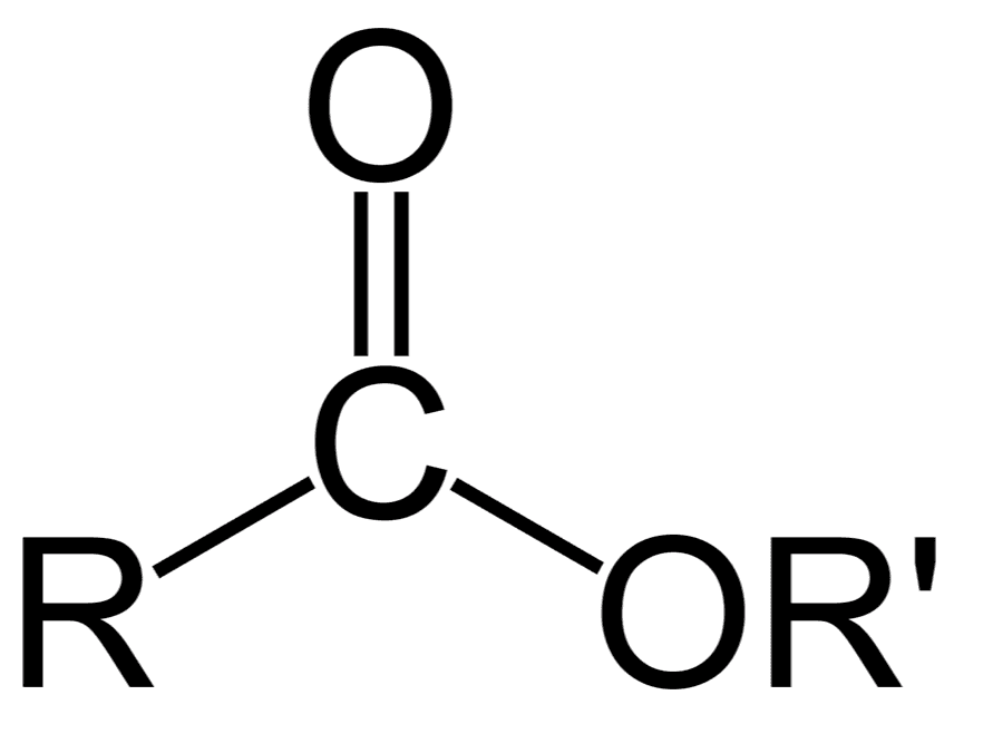 O= C R OR' 