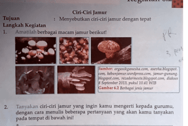 Ciri-Ciri Jamur Tujuan • Menyebutkan ciri-ciri jamur dengan tepat Langkah kegiatan 1 1. Amatilah berbagai macam jamur berikut! ! 3 per Sumber organik meshe.com, aseth.blogspot. com, kojom wordpress.com, jagung Wogspot.com, rezadarmest blogspot.com, diakses September 2013, pukul 10.41 WTB Gambar 62 Berbagai jenis 2. Tanyakan ciri-ciri jamur yang ingin kamu mengerti kepada gurumu, dengan cara menulis beberapa pertanyaan yang akan kamu tanyakan pada tempat di bawah ini! 
