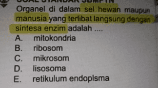 Organel di dalam sel hewan maupun manusia yang terlibat langsung dengan sintesa enzim adalah .... A. mitokondria B. ribosom C. mikrosom D. lisosoma E. retikulum endoplama 