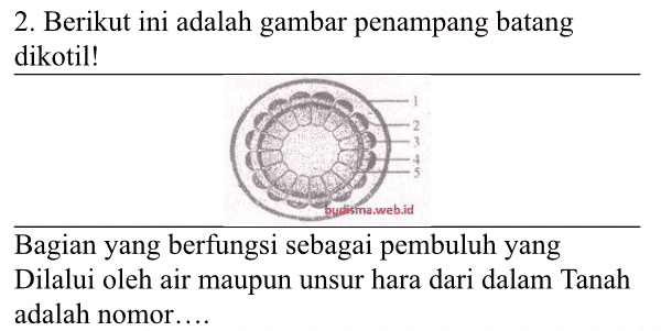 2. Berikut ini adalah gambar penampang batang dikotil! budisma.web.id Bagian yang berfungsi sebagai pembuluh yang Dilalui oleh air maupun unsur hara dari dalam Tanah adalah nomor.... 