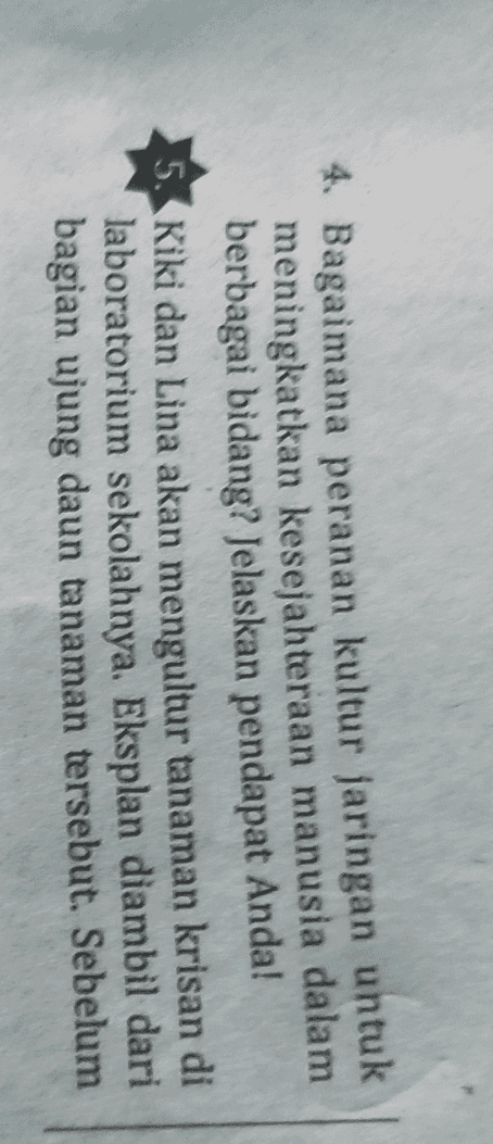4. Bagaimana peranan kultur jaringan untuk meningkatkan kesejahteraan manusia dalam berbagai bidang? Jelaskan pendapat Anda! 5. Kiki dan Lina akan mengultur tanaman krisan di laboratorium sekolahnya. Eksplan diambil dari bagian ujung daun tanaman tersebut. Sebelum 