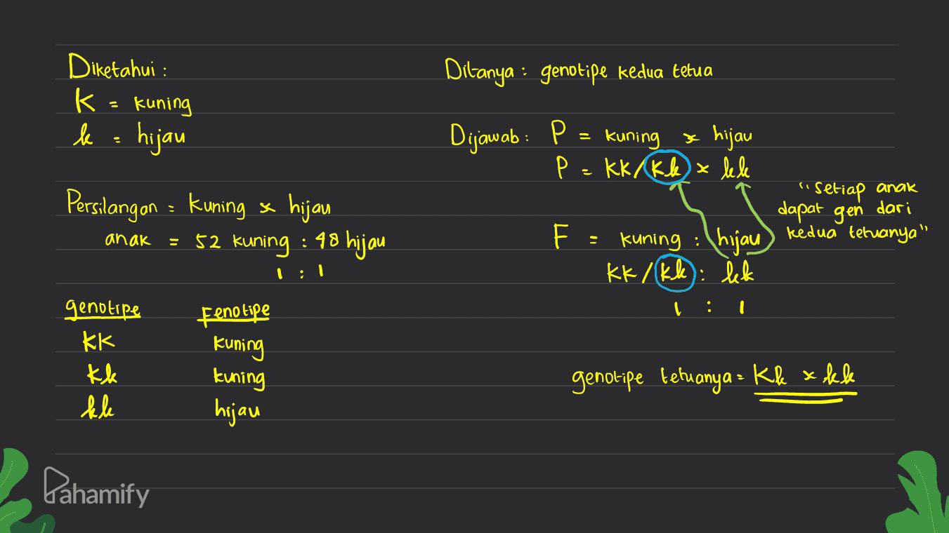 Diketahui : B-bulat Dijawab : P = bulat kuning x keriput hijau . P = Blk 2) x bbkk asalnya dari b = keriput arolnya dari K F=1B-k-:1 B-kl: 1 blok-:lbbleke kuning k= hijau "Setiap anak dapat gen dari kedua tetuanya" Ditanya : genotipe temuanya = Bbkk x bbkk obleke Persilangan - Bulat kuning x keriput hijau 48 bulat tuning : 51 bulat hijau : 99 keriput hojau : 52 leriput lcuning anak : Pahamify 