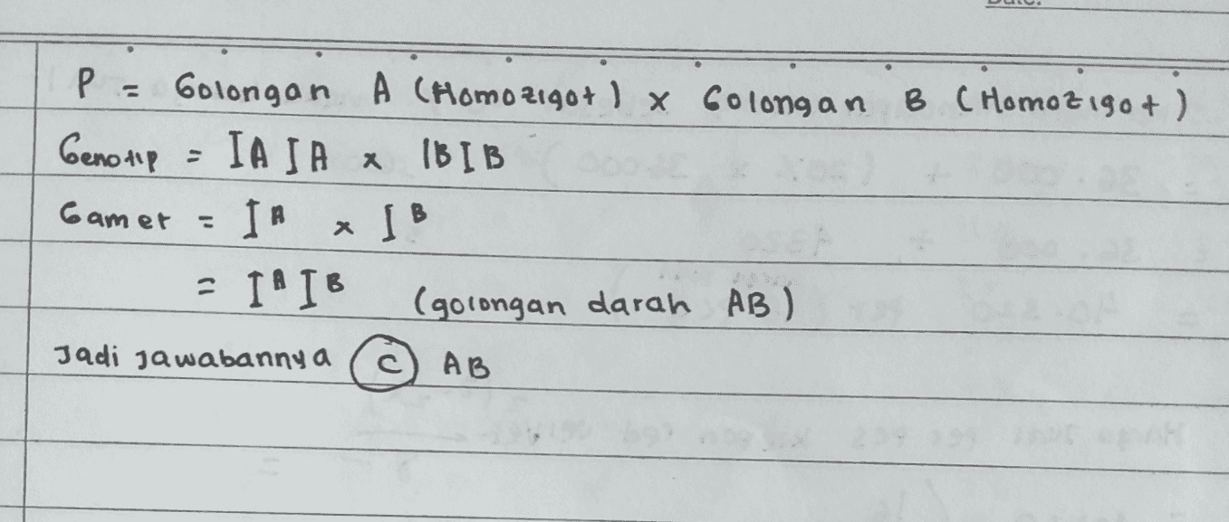 - Gamer P = Golongan A (Homo 21907 ) x Golongan B (Homozigo+ ) Genotip IASA * 1BIB IR = IA IB (golongan darah AB) Jadi jawabannya C) AB * IB 