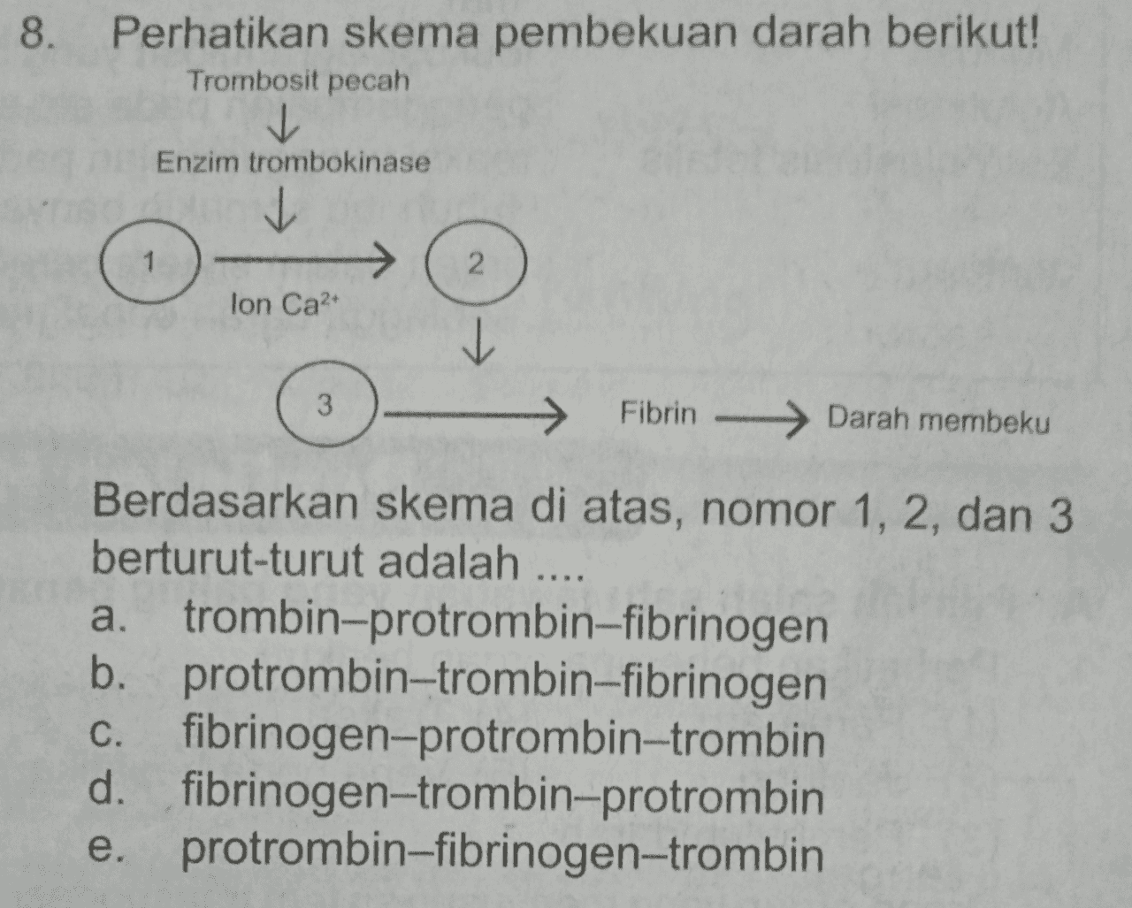8. Perhatikan skema pembekuan darah berikut! Trombosit pecah Enzim trombokinase 1 2 lon Ca2+ 3 → Fibrin -> Darah membeku Berdasarkan skema di atas, nomor 1, 2, dan 3 berturut-turut adalah .. a. trombin-protrombin-fibrinogen a. b. protrombin-trombin-fibrinogen C. fibrinogen-protrombin-trombin d. fibrinogen-trombin-protrombin e. protrombin-fibrinogen-trombin e 