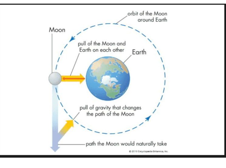 orbit of the Moon around Earth Moon pull of the Moon and Earth on each other Earth 1 pull of gravity that changes the path of the Moon -path the Moon would naturally take 2010 [neydocanda Britannica, 