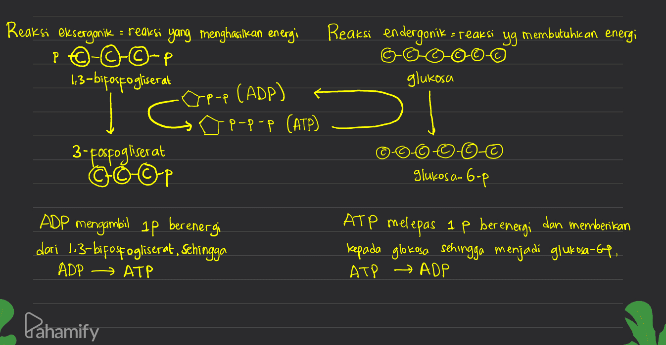 Reaksi eksergonik = reaksi yang menghasilkan energi P 6-@-©-p 1,3-bifosfogliserat Reaksi en dergonik - reaksi yg membutuhkan energi ©©©©©© glukosa Coop-p-p (ATP) op-p (ADP) -P-P-P (ATP) ©©©©-0-0 3-fosfogliserat COOP glukosa-6-p ADP mengambil IP berenergi dant 1,3-bifosfogliserat, sehingga ADP НАТР ATP melepas 1 p berenergi dan memberikan kepada glokosa sehingga menjadi glukosa-6p, ATP ADP Pahamify 