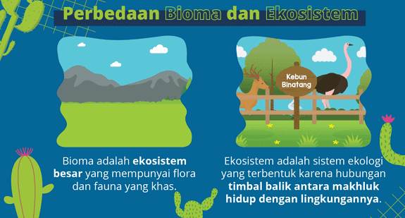 Perbedaan Bioma dan Ekosistem Kebun Binatang Bioma adalah ekosistem besar yang mempunyai flora dan fauna yang khas. Ekosistem adalah sistem ekologi yang terbentuk karena hubungan timbal balik antara makhluk hidup dengan lingkungannya. 