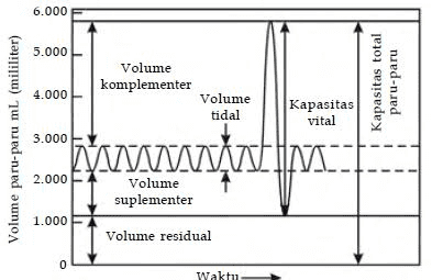 6.000 5.000 Volume komplementer Volume tidal Kapasitas total paru-paru 4.000 Kapasitas vital Volume paru-paru mL (mililiter) 3.000 WWWM 2.000 Volume suplementer 1.000 Volume residual 0 Waktu 