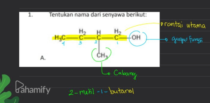 1. Tentukan nama dari senyawa berikut: prantai utama H H2 H2C 14 IO OH to gugus fungsi CH A. to Cabang Pahamify 2-metil-1-butanol 