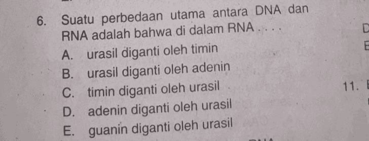 6. D E Suatu perbedaan utama antara DNA dan RNA adalah bahwa di dalam RNA A. urasil diganti oleh timin B. urasil diganti oleh adenin C. timin diganti oleh urasil D. adenin diganti oleh urasil E. guanin diganti oleh urasil 11. E 