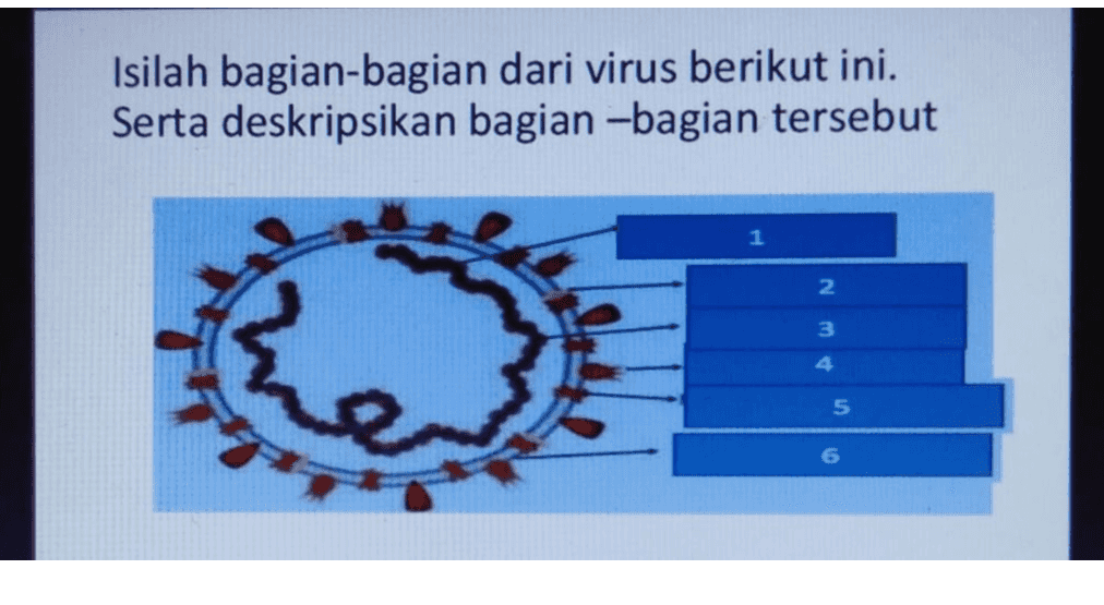 Isilah bagian-bagian dari virus berikut ini. Serta deskripsikan bagian-bagian tersebut 1 2 3 4 5 6 