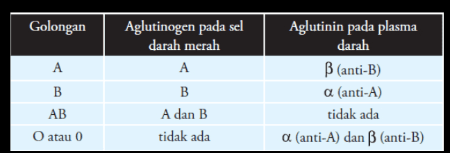 Golongan Aglutinogen pada sel darah merah A A Aglutinin pada plasma darah B (anti-B) a (anti-A) tidak ada a (anti-A) dan B (anti-B) B AB B A dan B O atau 0 tidak ada 