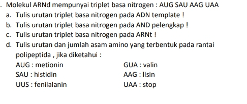 . Molekul ARNd mempunyai triplet basa nitrogen : AUG SAU AAG UAA a. Tulis urutan triplet basa nitrogen pada ADN template ! b. Tulis urutan triplet basa nitrogen pada AND pelengkap! C. Tulis urutan triplet basa nitrogen pada ARNt ! d. Tulis urutan dan jumlah asam amino yang terbentuk pada rantai polipeptida, jika diketahui : AUG: metionin GUA: valin SAU: histidin AAG: lisin UUS: fenilalanin UAA: stop 