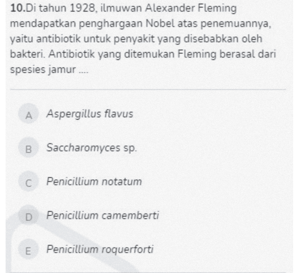 10.Di tahun 1928, ilmuwan Alexander Fleming mendapatkan penghargaan Nobel atas penemuannya, yaitu antibiotik untuk penyakit yang disebabkan oleh bakteri. Antibiotik yang ditemukan Fleming berasal dari spesies jamur.... A Aspergillus flavus B Saccharomyces sp. c Penicillium notatum D Penicillium camemberti E Penicillium roquerforti 